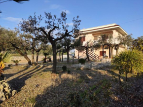 Villa Palmitessa